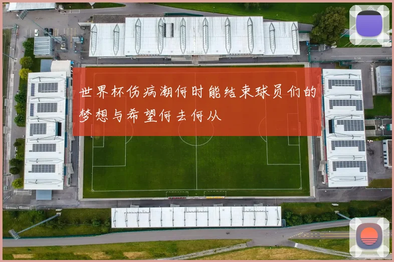世界杯伤病潮何时能结束球员们的梦想与希望何去何从