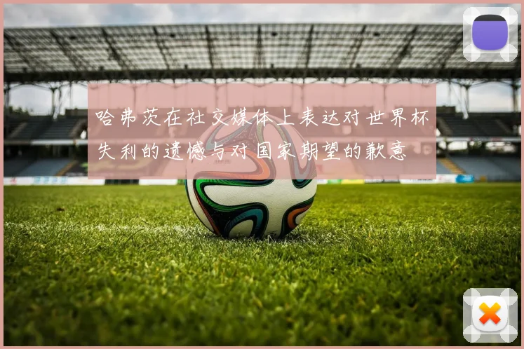 哈弗茨在社交媒体上表达对世界杯失利的遗憾与对国家期望的歉意